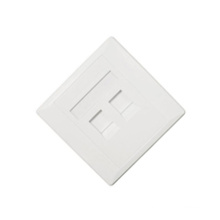 Durable RJ45 2 Port Netzwerk Gesicht Platte